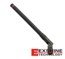 ANT-2.4-CW-HWR-RPS