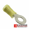 165028 Image