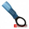 94854 Image