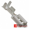 170037-2 Image
