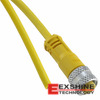 304S1 Image