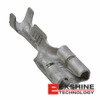 100495-2 Image