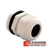 IPG-22225-G Image